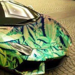 Jamie Marr Wilkinson