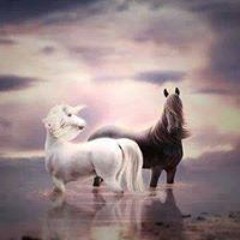 اسلام عادل