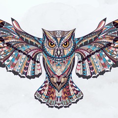 DancinG OwL