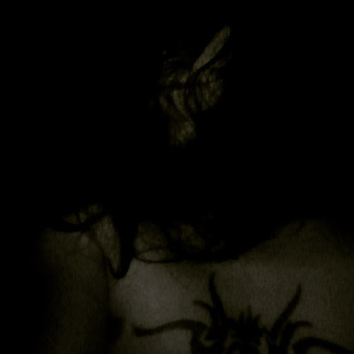 Xasthur - The Prison Of Mirrors.mp3