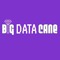 BIG DATA CANE