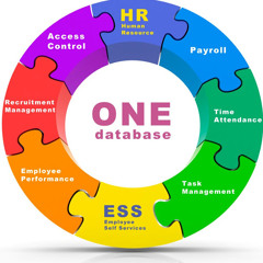 HR Data