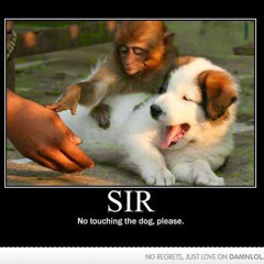 Bad Dawg User