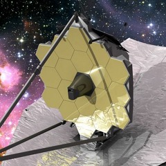 XenpanteK Rex (studio xenpantek)