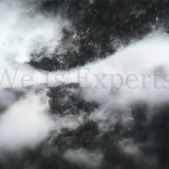 We Is Experts