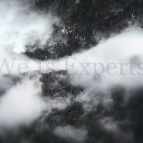 We Is Experts’s avatar
