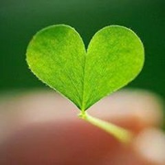 مصطفى الأزهرى