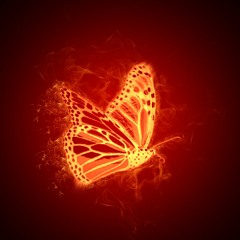 FireFly