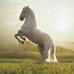 white horse music