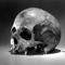 SKULL-R