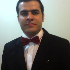 Hadi ahmad zade