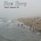 Slow Sleep