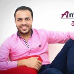 Amr Elmessiri
