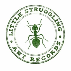 Little Struggling Ant Rec