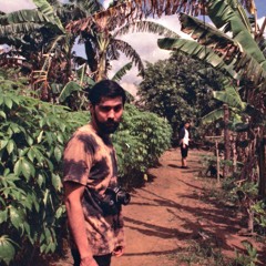 Apollo the Roving Viper