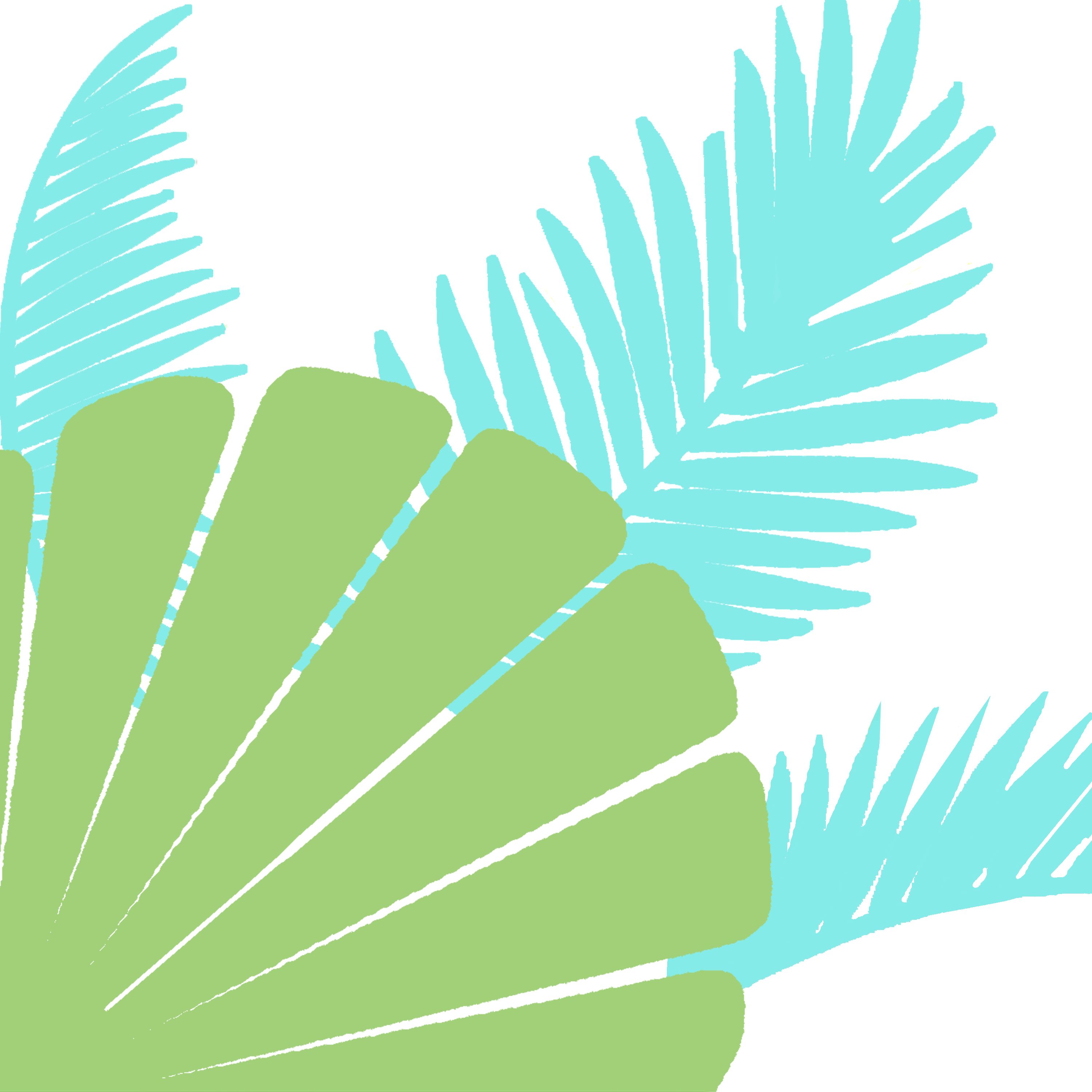 2018 August 12 Holly Inglis The Zax