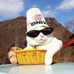 Mekin Srimontonpabha