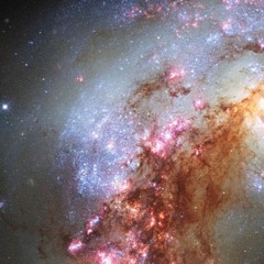 Andrea Marsolais-Roy