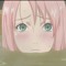 Blossoming Sakura