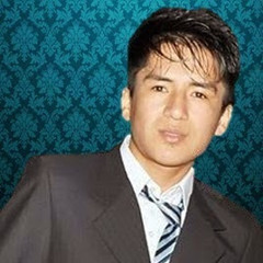 Ronald Jordy Mejia Mallqui