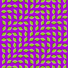 elias “jefry 678” zarate