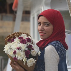 Sarah Mohamed Naguib