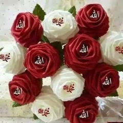 ahmed gamal