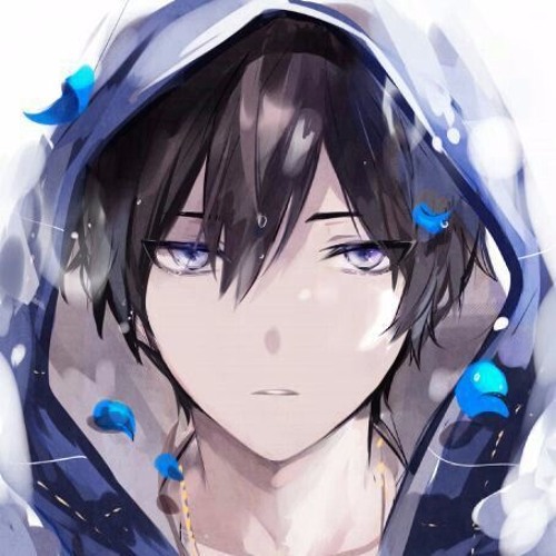 Blue Fox’s avatar