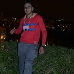 Amer Elshater
