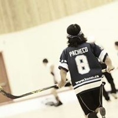 Joan Sebastian Pacheco