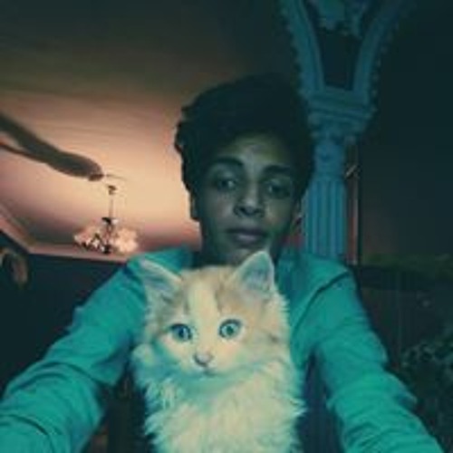 Stream Youssef Mansour music | Listen to songs, albums, playlists for