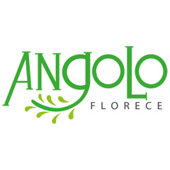 Angolo Florece PROYECTO