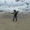 Sajid Al Noor