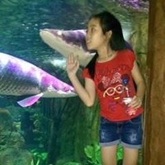 Phương Thảo Đinh