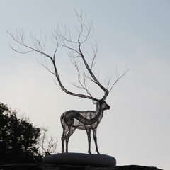 Fawnology Productions