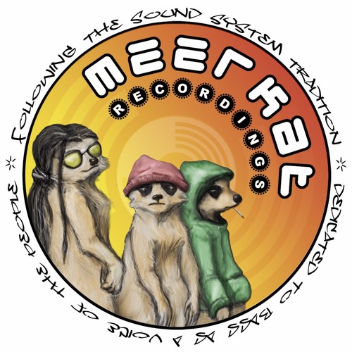 Meerkat Recordings — artist photo