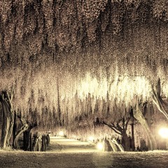 Spanish Armada/We Legends (Ratatat/MCupcake mash)