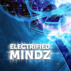 Electrified Mindz Records
