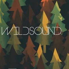 Stream DOsounds  Listen to The Meaning of Wild playlist online for free on  SoundCloud