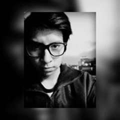HL Elvis