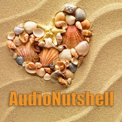 audionutshell