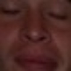 fronk oreo andthe fiesta