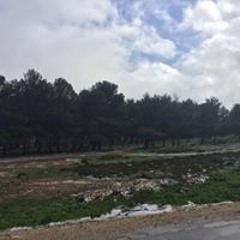 عزالدين القطعاني