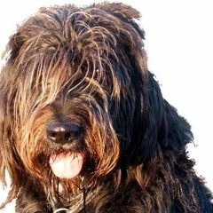 i just want to make love to you.mp3