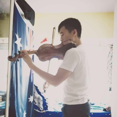 蘇打綠 Sodagreen - 當我們一起走過 (Violin & Guitar Cover)