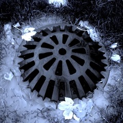 Paul Allan and the Black Retrievers