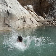 senol