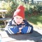 Felte