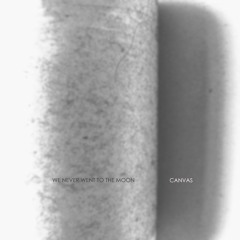 We Never Went To The Moon