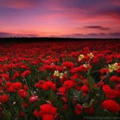 اذكار الصباح والمساء كامله  فارس عباد.mp3